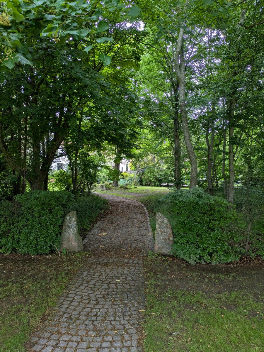 shade garden